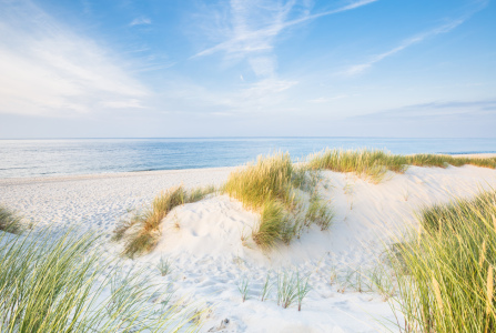 Bild-Nr: 11828479 Sommer auf Sylt Erstellt von: Ursula Reins