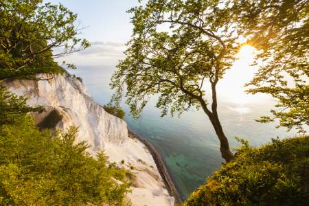 Bild-Nr: 11828583 MÖNS KLINT Erstellt von: dieterich