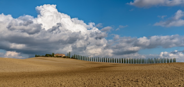 Bild-Nr: 11828985 Herbst in der Toskana Erstellt von: Achim Thomae