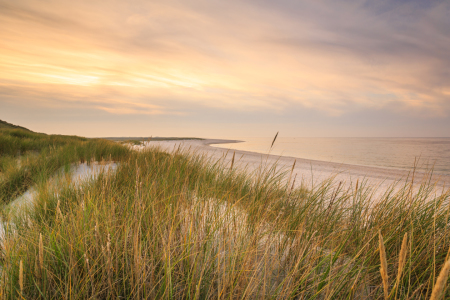 Bild-Nr: 11829279 Malstunde auf Sylt Erstellt von: Ursula Reins