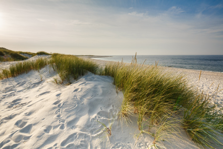 Bild-Nr: 11830083 Sylt  Düne  Erstellt von: Ursula Reins