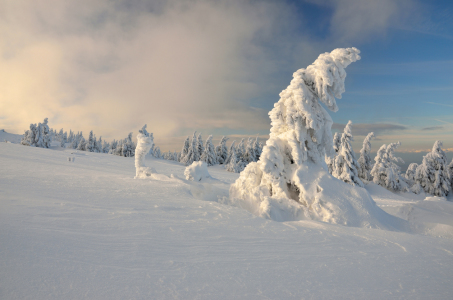 Bild-Nr: 11830649 Winter im Harz Erstellt von: Christiane Dreher