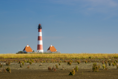 Bild-Nr: 11831601 Leuchtturm Westerhever Erstellt von: Armin Redöhl