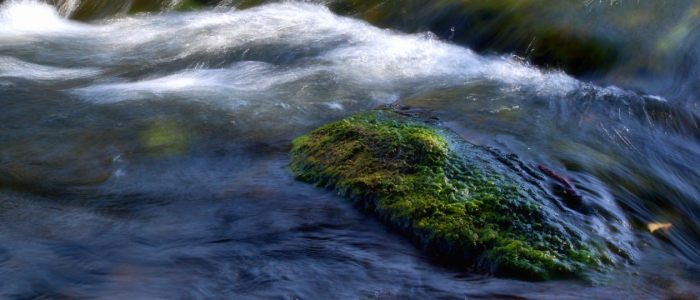 Bild-Nr: 11831745 im Fluss Erstellt von: Ilo-auge