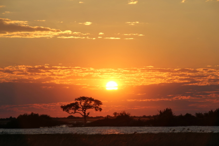 Bild-Nr: 11834327 Abend in Afrika Erstellt von: det-mil