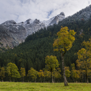 Bild-Nr: 11835199 Herbst im Gebirge Erstellt von: DenisFeiner