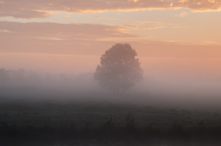 Bild-Nr: 11835499 roter Nebel Erstellt von: nigella