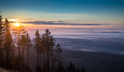 Bild-Nr: 11835549 Sonnenblick im Harz Erstellt von: Steffen Henze