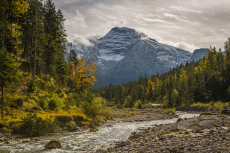 Bild-Nr: 11835793 Erste Herbstfarben Erstellt von: DenisFeiner