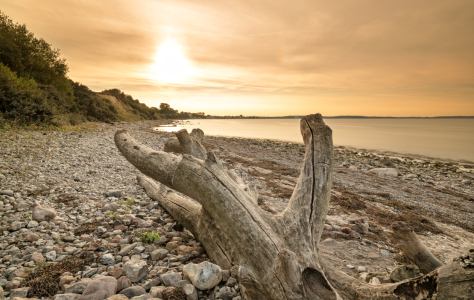 Bild-Nr: 11837315 Sonnenuntergang Timmendorfer Strand Erstellt von: Nordbilder