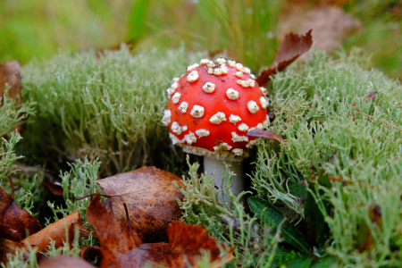 Bild-Nr: 11837371 Miteinander leben Erstellt von: Ostfriese