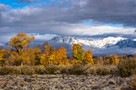 Bild-Nr: 11838213 Grand Teton National Park Erstellt von: TomKli