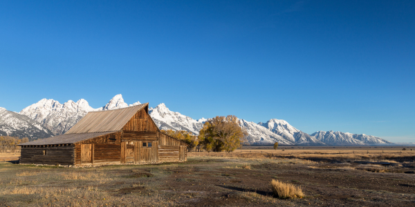 Bild-Nr: 11838235 Mormon Row Erstellt von: TomKli