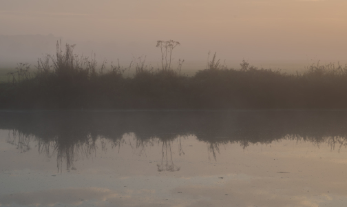 Bild-Nr: 11838675 Morgennebel Erstellt von: nigella