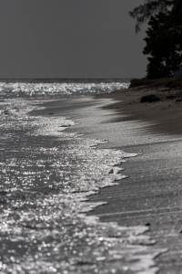 Bild-Nr: 11839613 Strandsicht Erstellt von: TomKli