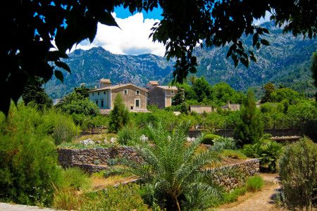 Bild-Nr: 11841389 Soller - Botanical Garden - I Erstellt von: alvarosoto