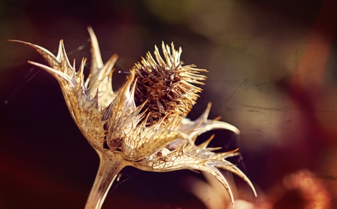 Bild-Nr: 11842667 Herbstimpressionen Erstellt von: youhaveadream