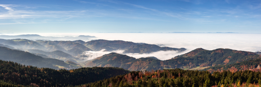 Bild-Nr: 11842985 Nebelmorgen im Schwarzwald Erstellt von: Marcel Heinzmann