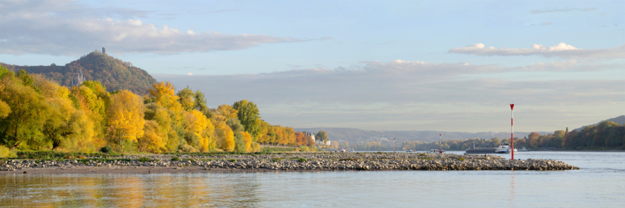 Bild-Nr: 11843303 Rheinpanorama Erstellt von: Rolf Eschbach