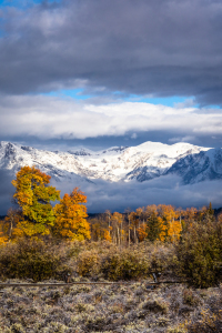 Bild-Nr: 11843507 Herbst in den Tetons Erstellt von: TomKli