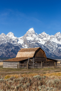 Bild-Nr: 11843931 Mormon Row - Teton Range Erstellt von: TomKli