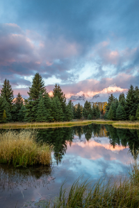 Bild-Nr: 11843937 Schwabacher Landing Erstellt von: TomKli