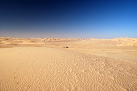 Bild-Nr: 11847535 Spuren im Sand Erstellt von: KundenNr-324575