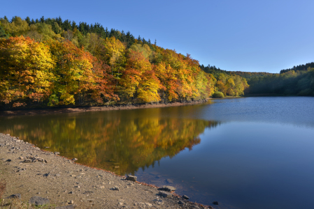 Bild-Nr: 11848317 Talsperre im Herbst Erstellt von: Rebel