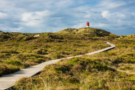 Bild-Nr: 11848631 Amrum Erstellt von: Rico Ködder