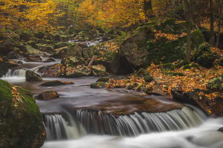 Bild-Nr: 11849373 Harzer Wasserfall im Herbst Erstellt von: Mohr-Moments-Photography