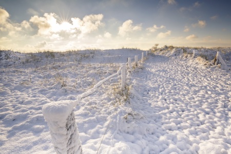 Bild-Nr: 11850005 Winter am Ostseestrand Erstellt von: Ursula Reins