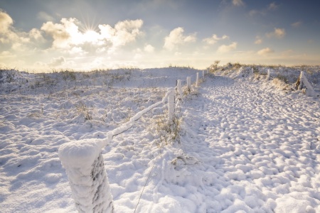 Bild-Nr: 11850005 Winter am Ostseestrand Erstellt von: Ursula Reins