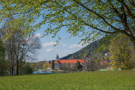 Bild-Nr: 11850227 Schloss-Fruehling Erstellt von: SusaZoom