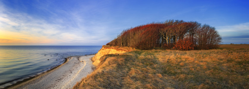 Bild-Nr: 11850569 Ostseeküste im Abendlicht Erstellt von: Daniela Beyer