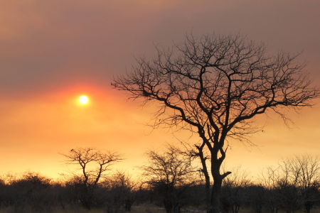 Bild-Nr: 11850589 Sonnenuntergang in Afrika Erstellt von: det-mil