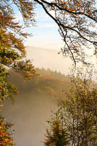 Bild-Nr: 11854699 Herbstlicher Rahmen Erstellt von: falconer59