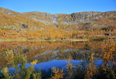 Bild-Nr: 11855400 Herbst am See Erstellt von: GUGIGEI