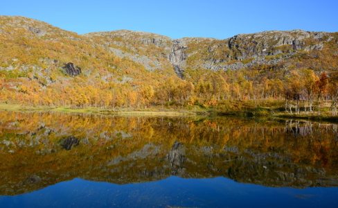 Bild-Nr: 11855401 an einem See in Norwegen Erstellt von: GUGIGEI