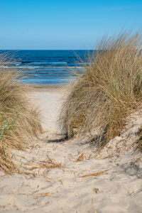 Bild-Nr: 11855622 Dünen an der Ostsee Erstellt von: Guenter Purin