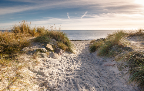 Bild-Nr: 11856263 Herbst am Ostseestrand Erstellt von: Ursula Reins