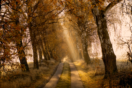 Bild-Nr: 11857014 Herbstnebel Erstellt von: Jens Kalanke