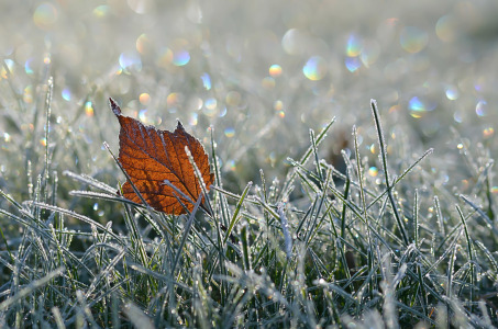 Bild-Nr: 11859154 Eiszeit  Erstellt von: zwergl0611