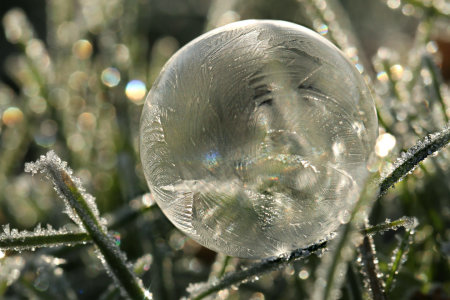 Bild-Nr: 11859448 Seifenblase im Wintergras Erstellt von: Heike Hultsch