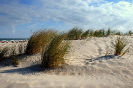 Bild-Nr: 11860172 Ein windiger Maitag Erstellt von: Ostseestrand