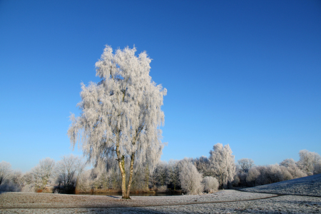 Bild-Nr: 11860921 Wintertraum Erstellt von: SvenH
