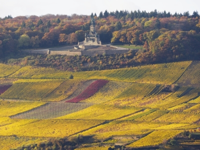 Bild-Nr: 11861411 Blick aufs Niederwalddenkmal bei Rüdesheim in gelb Erstellt von: Stefan Zimmermann