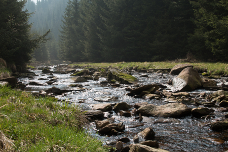 Bild-Nr: 11862670 steiniger Gebirgsbach in Flusstal Erstellt von: Harry-Hennington