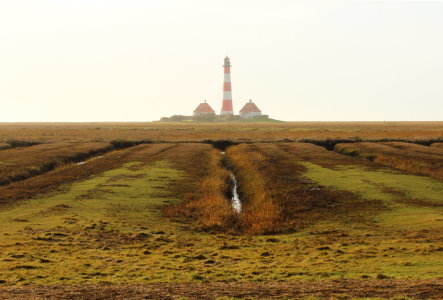 Bild-Nr: 11862796 Westerhever Erstellt von: Heike Hultsch