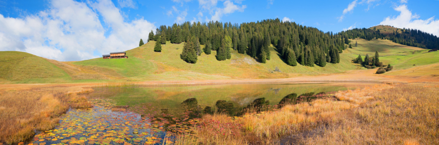 Bild-Nr: 11862856 Stelsersee im Herbst Erstellt von: SusaZoom