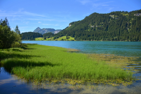 Bild-Nr: 11863980 Haldensee Erstellt von: GUGIGEI